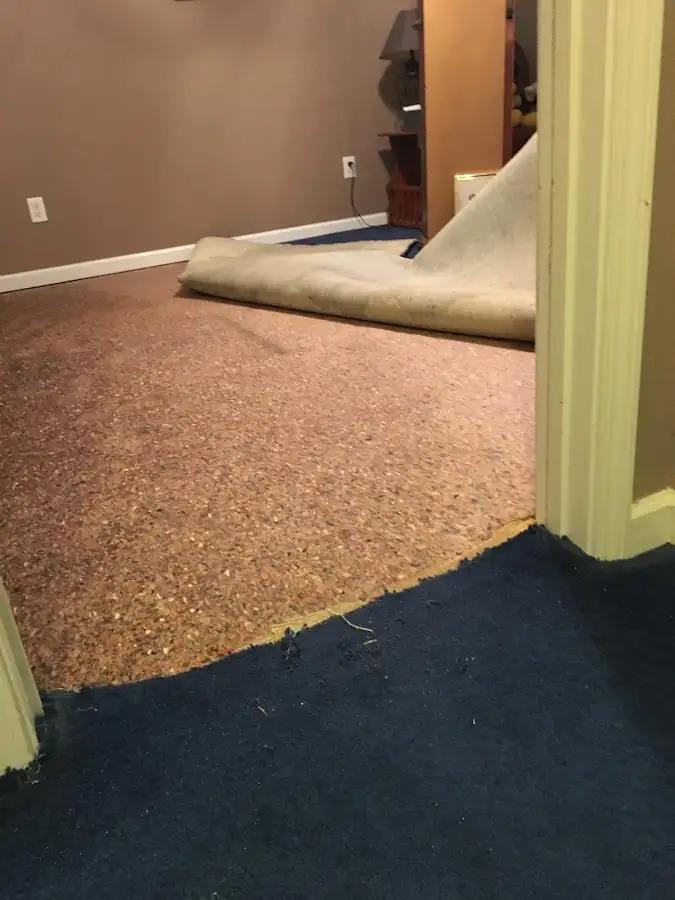 Carpet pad removal revealing water damage during Water Mitigation Services in Eden