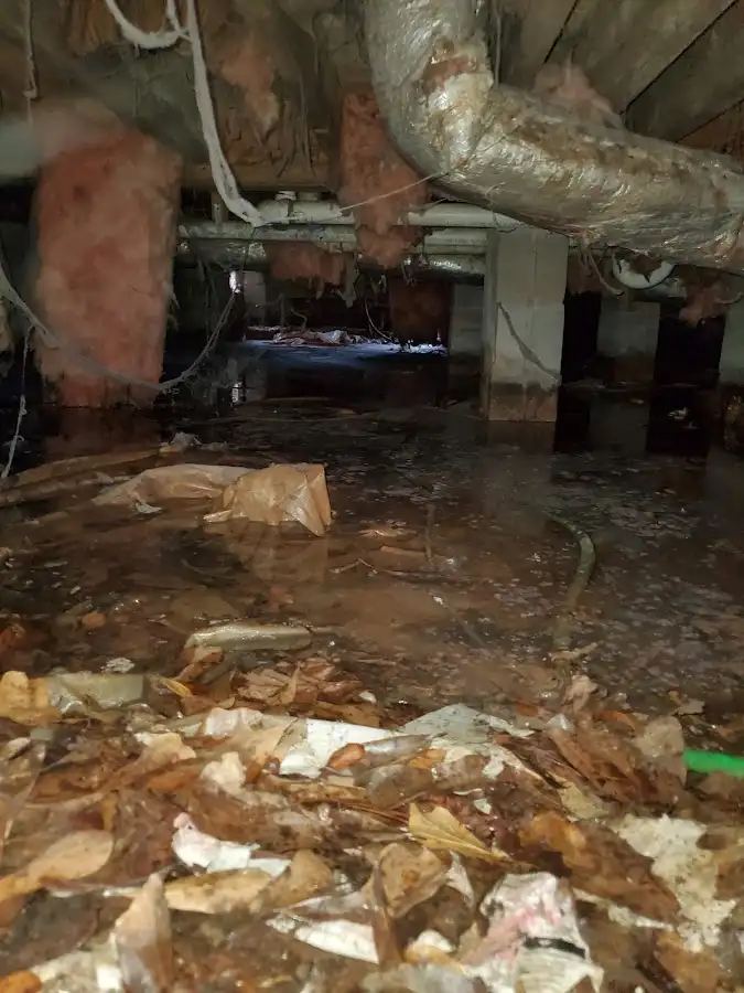 Crawl space flood assessment for Leak Detection & Repair in Eden
