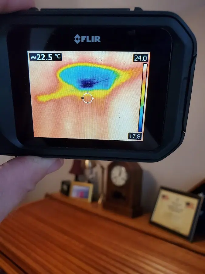 Thermal imaging inspection for water damage in Eden